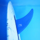 7.5 longboard single fin - Blue tint fiberglass